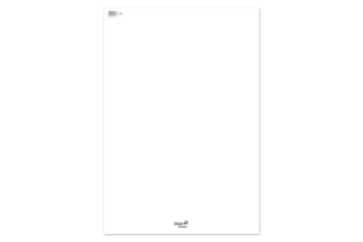 Flipchartpapier 68x99cm 20 Blatt 80g/qm blanko, Art.-Nr. 036442 - Paterno Shop